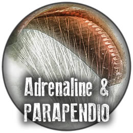 parapendio